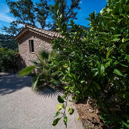 La Maison Des Chenes - 5 Etoiles *