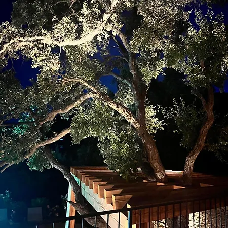 빌라 La Maison Des Chenes - 5 Etoiles 카발레르쉬르메르