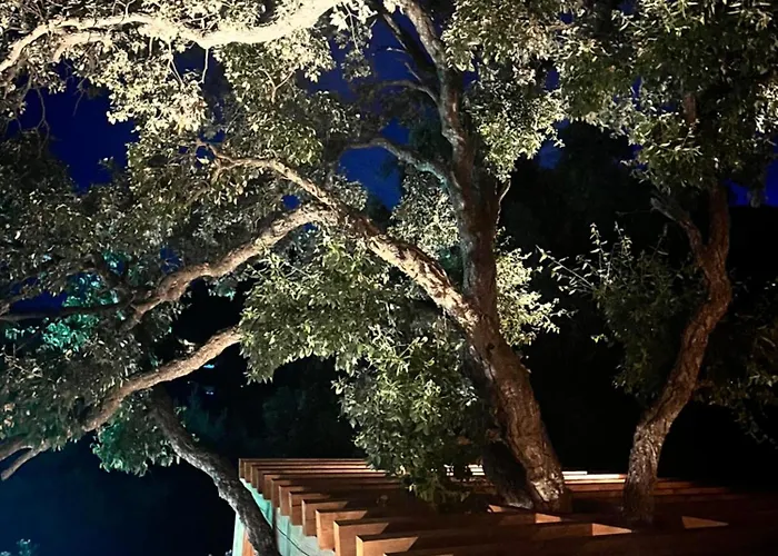 Villa La Maison Des Chênes - 5 étoiles Cavalaire-sur-Mer